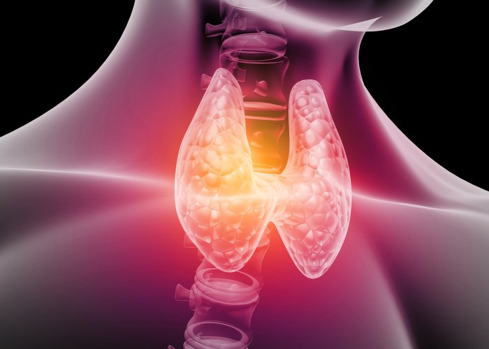  hyperthyroid conditions 