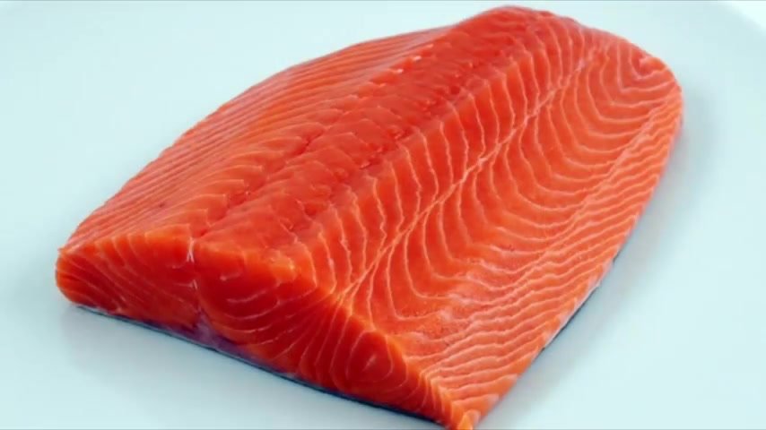 Salmon