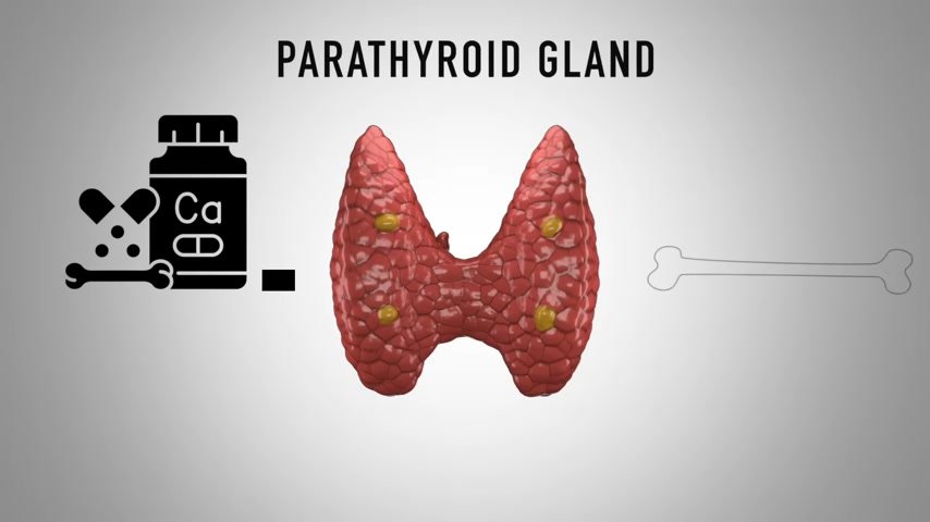 Vitamin D dosage parathyroid 