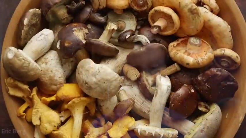 Make your own vitamin D supplements - mushrooms 