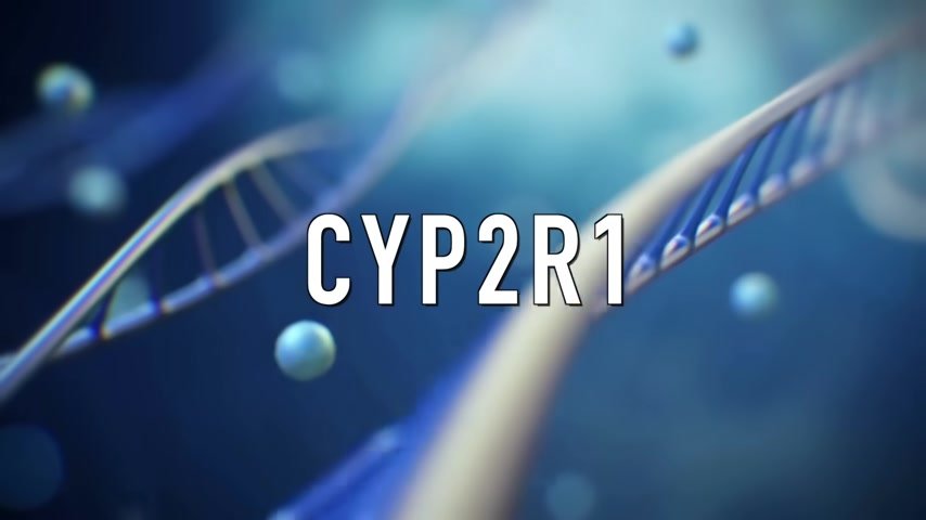 cyp2r1 vitamin d