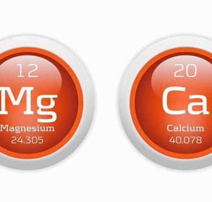 Magnesium Protects Against the Bad Effects of Calcium