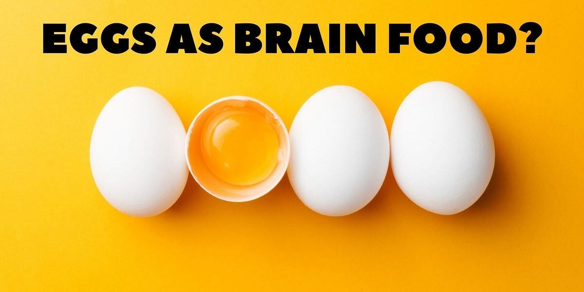 Eggs and Brain: Why Eating Eggs Helps Your Brain