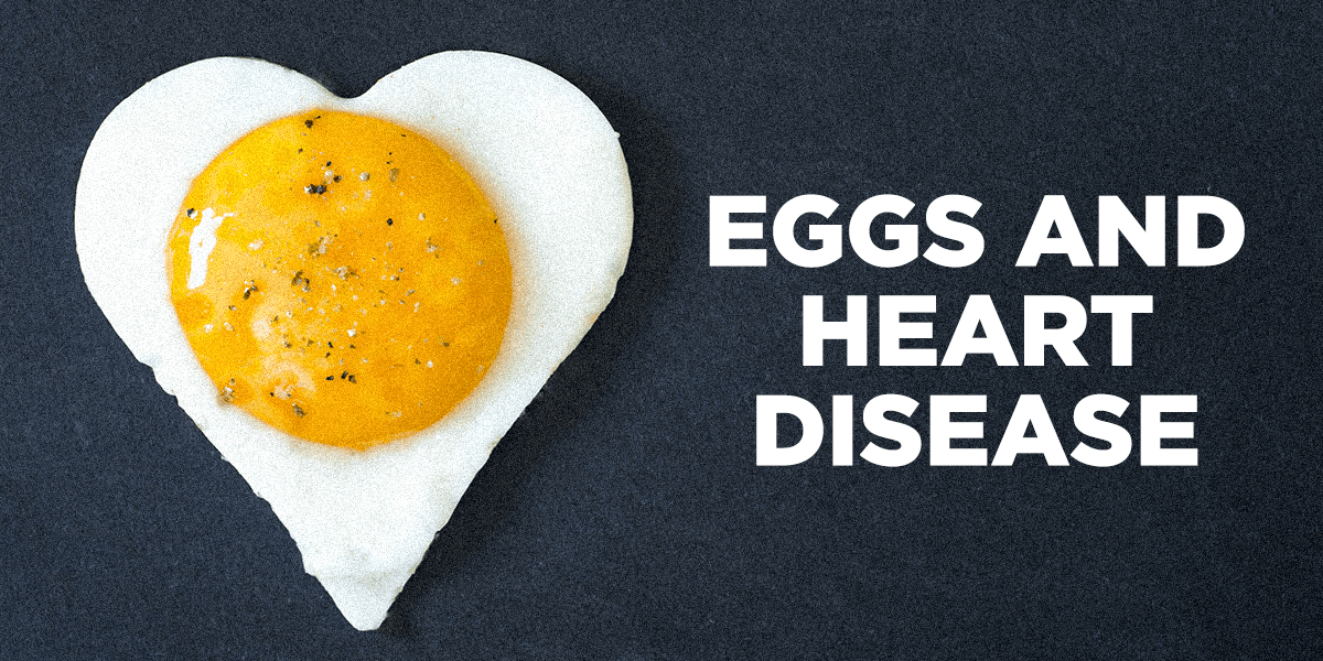 Eggs Cause Heart Attack? New Study Sparks Outrage 