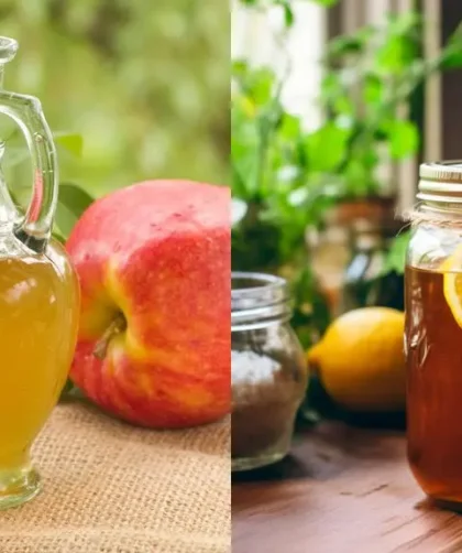 Which is Better: Kombucha Tea vs. Apple Cider Vinegar