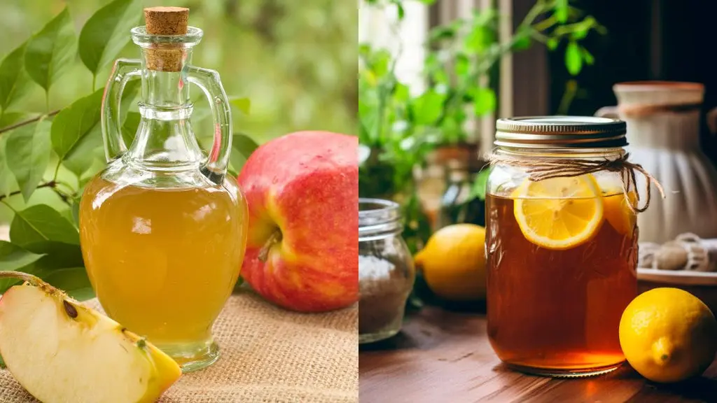 Which is Better: Kombucha Tea vs. Apple Cider Vinegar