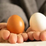 Brown Eggs vs. White Eggs: Is There a Health Difference?