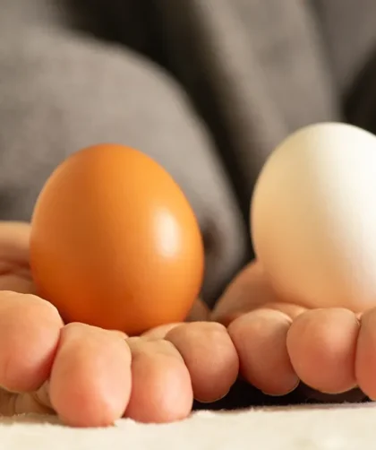 Brown Eggs vs. White Eggs: Is There a Health Difference?