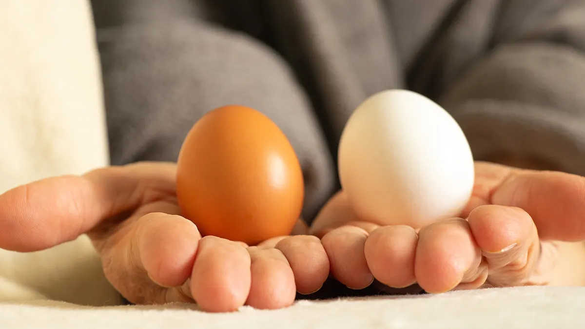 Brown Eggs vs. White Eggs: Is There a Health Difference?