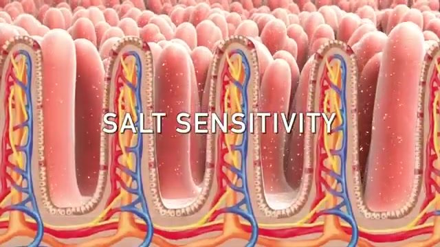 salt sensitivity