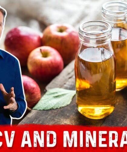 Apple Cider Vinegar Mineral Absorption