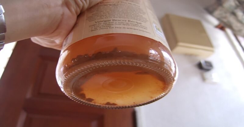 What's at the bottom of an ACV bottle?