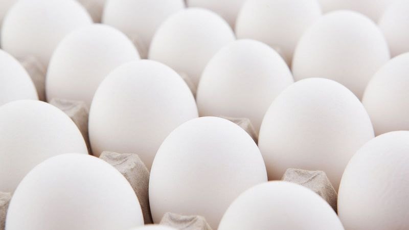 Pasture-Raised Eggs vs. Commercial Eggs