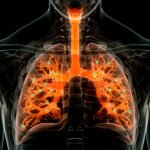 Zinc and Lungs: Zinc Effects on Your Respiratory System