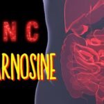 Zinc Carnosine: A Natural Remedy for Stomach Ulcers and Gastritis