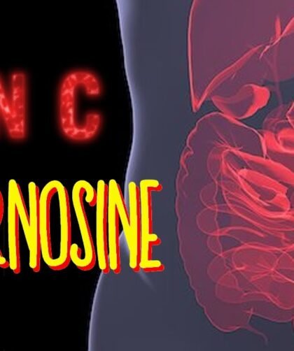 Zinc Carnosine: A Natural Remedy for Stomach Ulcers and Gastritis