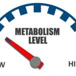 High vs Low Metabolism For Fat Burning