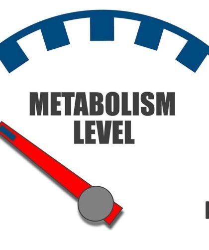 High vs Low Metabolism For Fat Burning