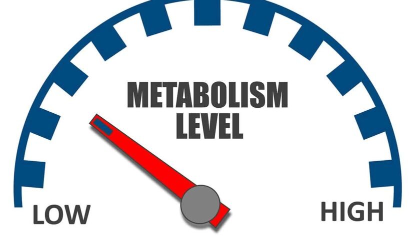 High vs Low Metabolism For Fat Burning