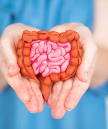 Zinc L-Carnosine for Gut Health: A Comprehensive Guide