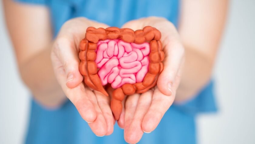 Zinc L-Carnosine for Gut Health: A Comprehensive Guide