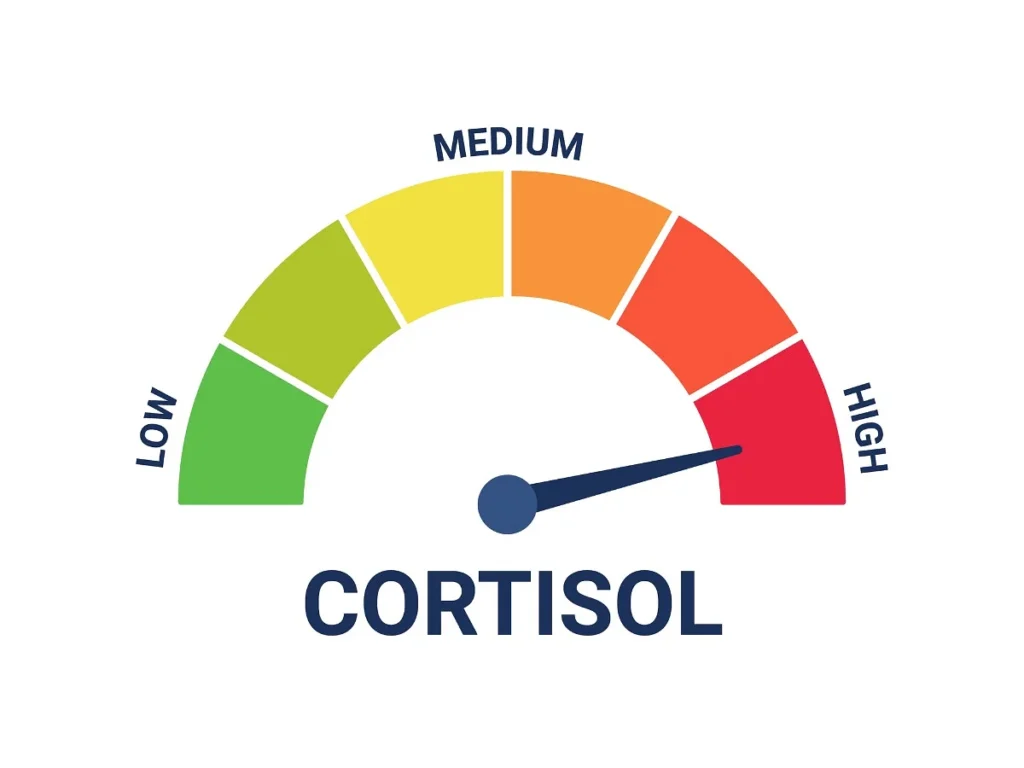 The 5 Worst Diet Mistakes When Trying To Boost Metabolism. Cortisol
